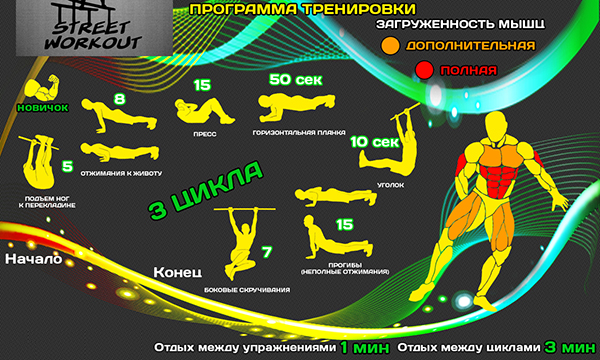 workout программа тренировок2