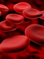 Как поднять лейкоциты в крови?