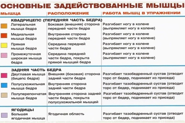приседания со штангой какие мышцы работают
