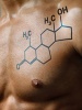 Тестостерон у мужчин – как проверить уровень гормона и что делать при отклонениях?