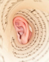 Как развить музыкальный слух
