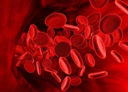 характер человека по группе крови